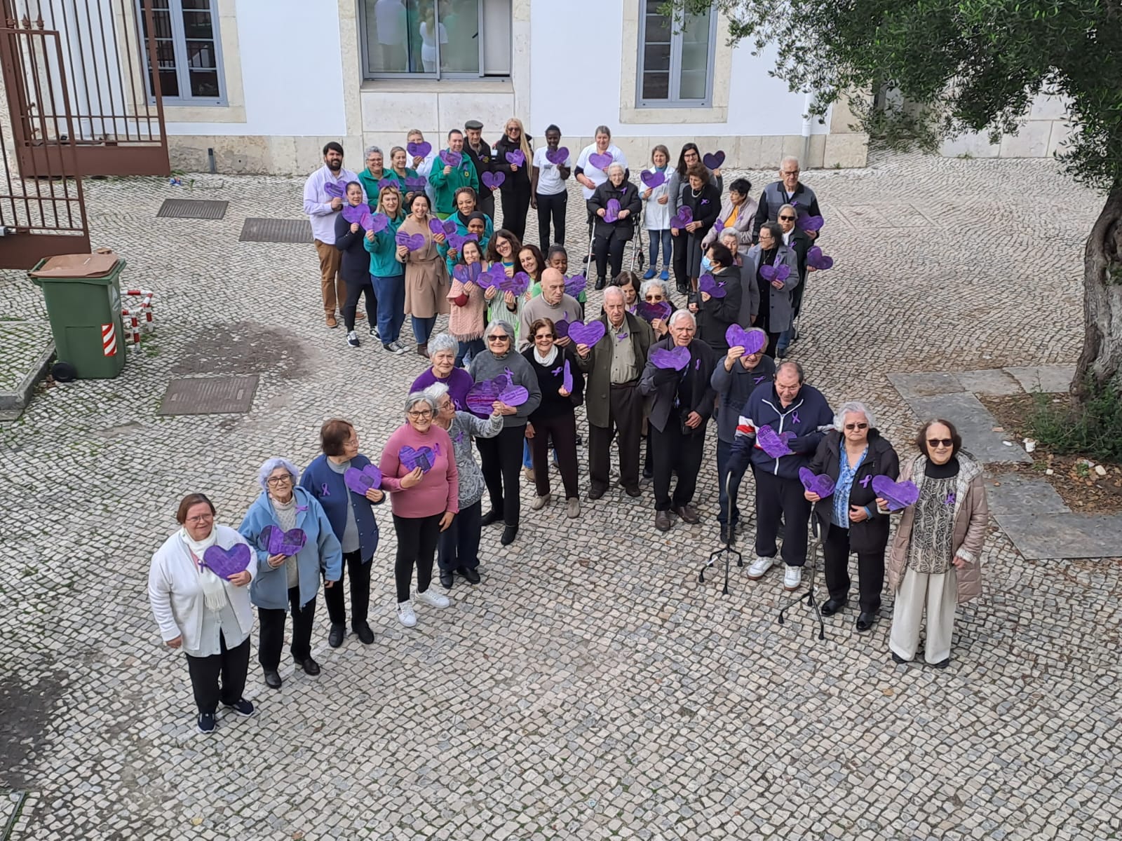 Laço Roxo na Quinta de S. Miguel